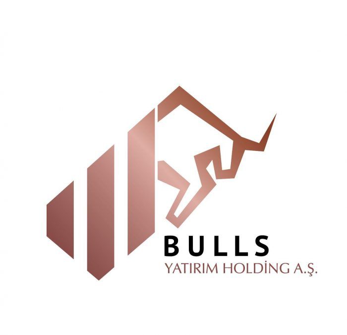 Bulls_Holding_Logo-e1719229661810.jpeg